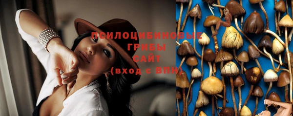 spice Абдулино