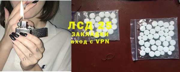 шишки Абаза