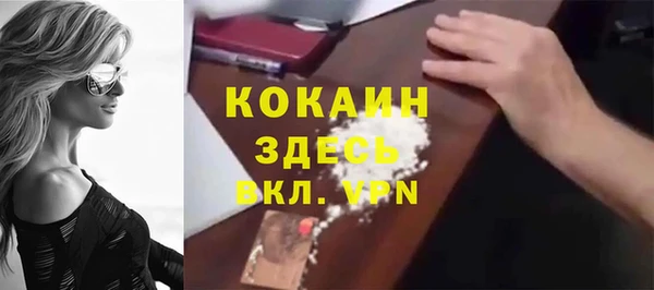 ешки Пересвет