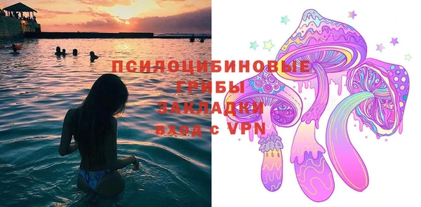 ешки Пересвет