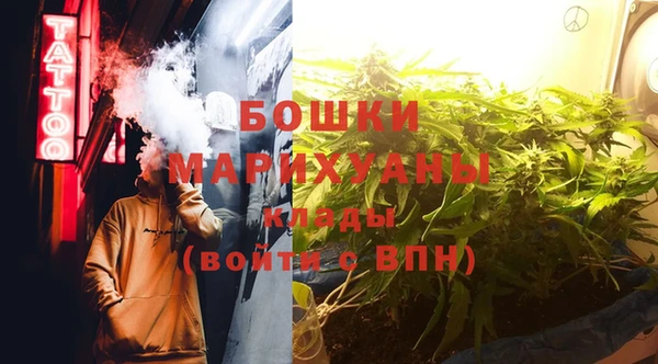 ешки Пересвет