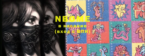шишки Абаза