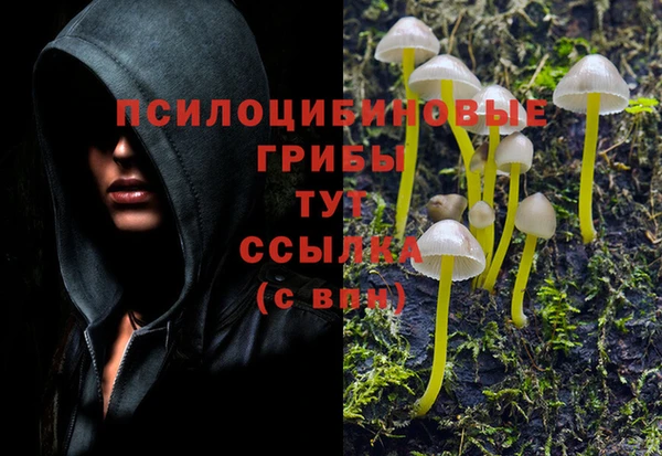 герыч Осинники