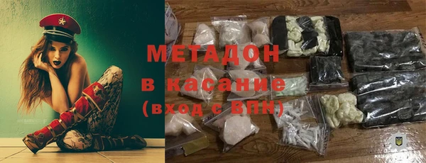 шишки Абаза