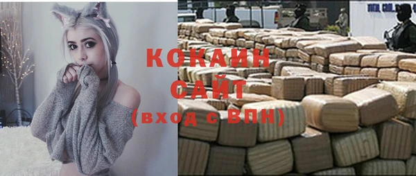 ешки Пересвет