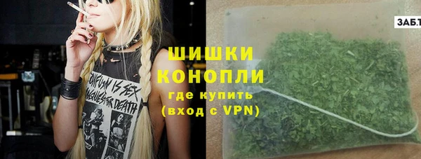 шишки Абаза